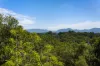 68 Muller Road, Tregeagle, NSW 2480-Image
