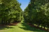 68 Muller Road, Tregeagle, NSW 2480-Image