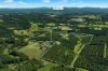 68 Muller Road, Tregeagle, NSW 2480-Image