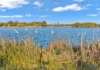 6B/55 Herdsman Parade, Wembley, WA 6014-Image