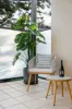 7/1 Garfield Street, Cheltenham VIC 3192-Image