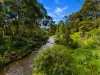 7/15  Rucker Street, Northcote, Vic 3070-Image