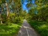 7/15  Rucker Street, Northcote, Vic 3070-Image