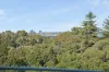7/152 Mill Point Road, South Perth, WA 6151-Floorplan