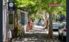 7/155 Blues Point Road, McMahons Point, NSW 2060-Image