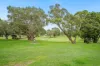 7/16 Campbell Parade, Manly Vale, NSW 2093-Image