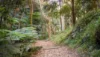 7/175 Victoria Road, Bellevue Hill NSW 2023-Image