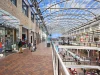 7/197-199 Lyons Road, Drummoyne, NSW 2047-Image