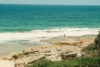 7/2-12 Andrews Avenue, Bondi NSW 2026-Image