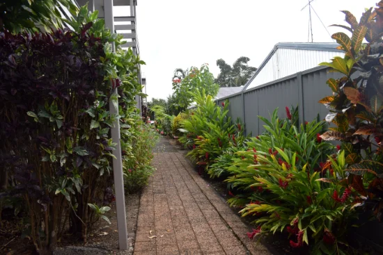 7/23 Balaclava Road, Earlville, Qld 4870-Image