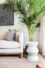 7/26A Acland Street, St Kilda, Vic 3182-Image