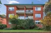 7/31 Elizabeth Street, Ashfield, NSW 2131-Image