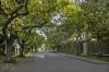 7/33 Albany Road, Toorak, Vic 3142-Image