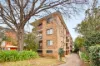 7/6 Orpington Street, Ashfield, NSW 2131-Image