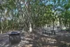 7/66 Jessica Boulevard, Minyama, Qld 4575-Image