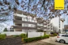 7/76 Leichhardt Street, Griffith ACT 2603-Image