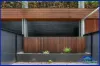 7/9 Darling Street, South Yarra, Vic 3141-Image