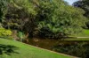 7/927 Wellington Street, West Perth, WA 6005-Image