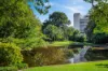 7/927 Wellington Street, West Perth, WA 6005-Image