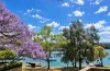 7 Warayama Place, Rozelle, NSW 2039-Image