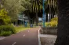 703/2 St Georges Terrace, Perth, WA 6000-Image