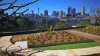703/2F Wentworth Park Road, Glebe, NSW 2037-Image