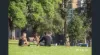 703/390 Little Collins Street, Melbourne, Vic 3000-Image