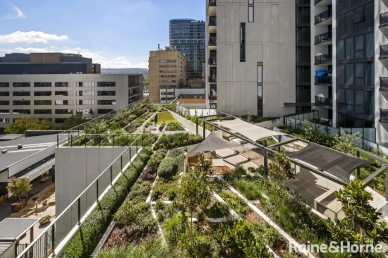 703/49 Furzer Street, Phillip, ACT 2606-Image