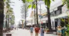 705/3 Orchid Avenue, Surfers Paradise, Qld 4217-Image