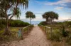 709/1483-1489 Gold Coast Highway, Palm Beach, Qld 4221-Image