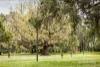 709/505 St Kilda Road, Melbourne, Vic 3004-Image