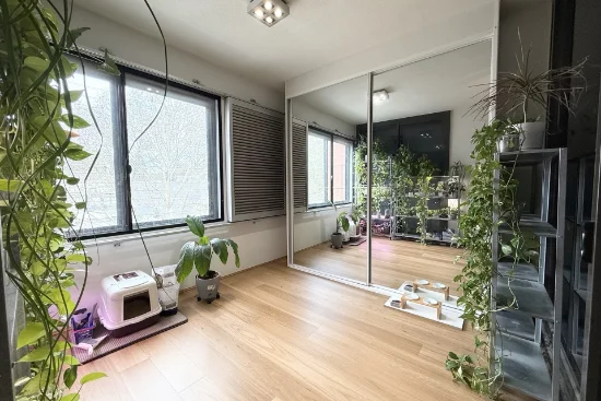 714/444 Harris Street, Ultimo, NSW 2007-Image