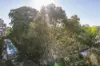 725/84-108 Anzac Parade, Kensington, NSW 2033-Image