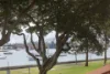 73 New Beach Road, Darling Point, NSW 2027-Image