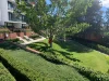 76/7 Light St, Griffith, ACT 2603-Image