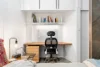 781 New Canterbury Road, Dulwich Hill, NSW 2203-Image