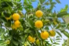 7A Newhaven Street, Alexandra Hills QLD 4161-Image