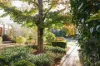 8/10 Coolac Place, Braddon, ACT 2612-Image