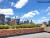 8/107-111 Oxford Street, Darlinghurst, NSW 2010-Image