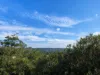 8/108 Soldiers Avenue, Freshwater, NSW 2096-Image
