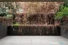 8/118 Vere Street, Abbotsford, Vic 3067-Image
