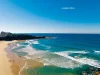 8/127 Crown Road, Queenscliff, NSW 2096-Image