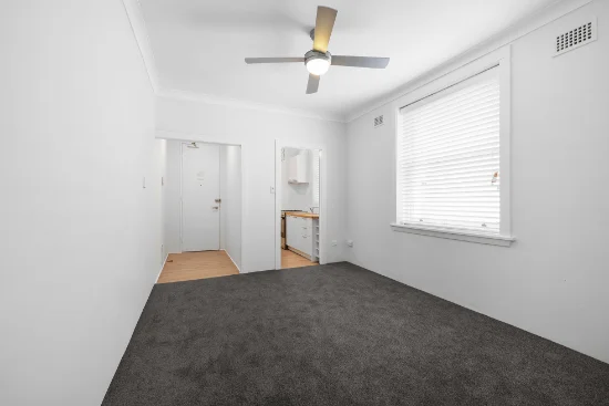 8/18 Royston Street, Darlinghurst, NSW 2010
