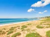 8/181 Ocean Street, Narrabeen, NSW 2101-Image