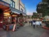8/2 Burton Street, Randwick, NSW 2031-Image