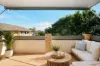 8/22-26 Cliff Street, Manly, NSW 2095-Image