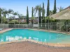 8/247H Burwood Road, Concord, NSW 2137-Image