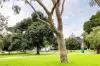 8/249 Rathdowne Street, Carlton, Vic 3053-Image