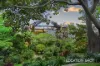 8/26 Lavender Street, Lavender Bay, NSW 2060-Image