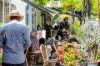 8/26 Lavender Street, Lavender Bay, NSW 2060-Image
